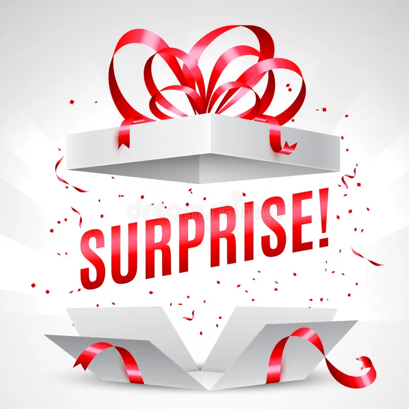 Surprise Me